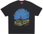 Peacock S/S Top Black