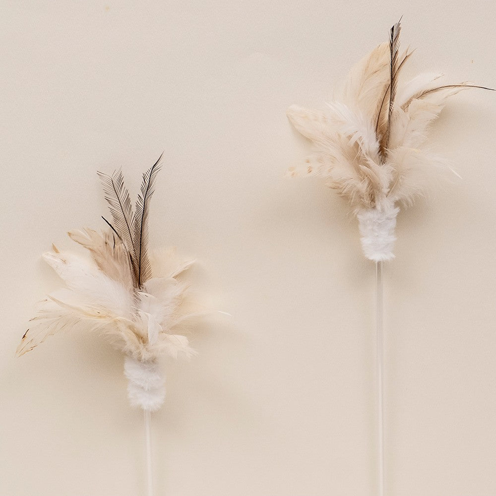 Reed Stick Cat Teaser