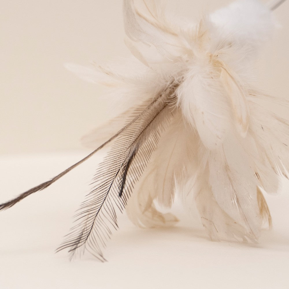 Reed Stick Cat Teaser