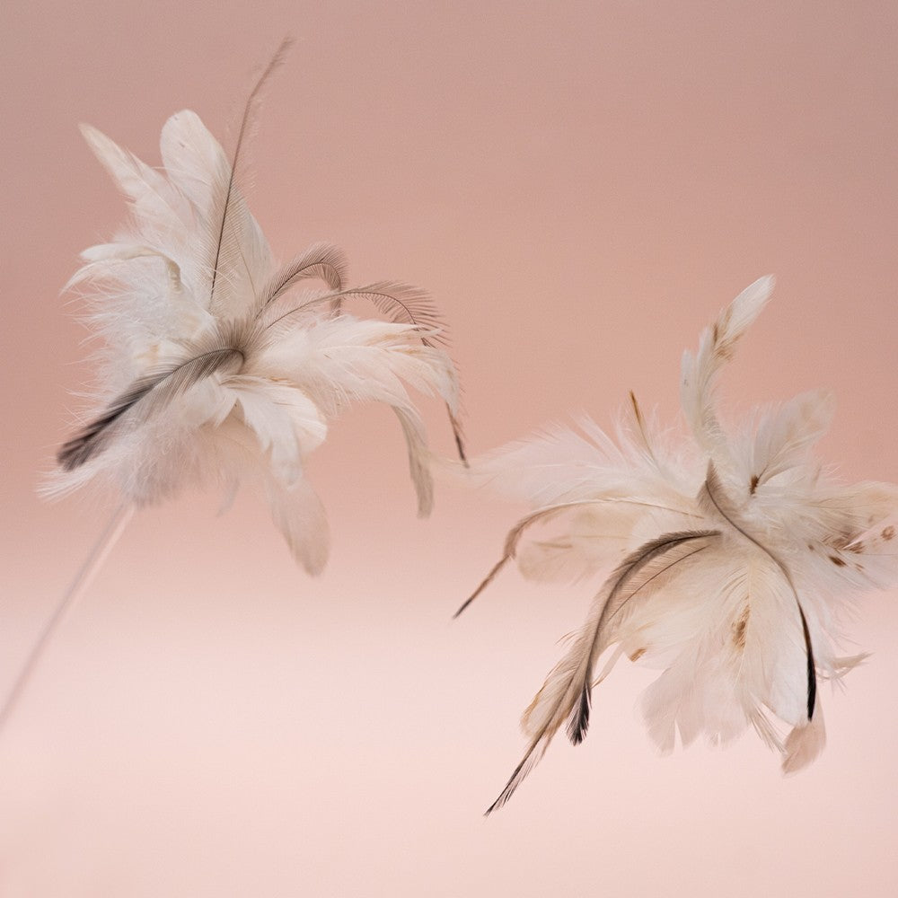 Reed Stick Cat Teaser