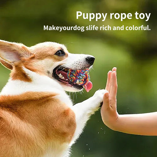 Assorted 4PCS Puppy Rope Chew Toys for Small Dogs Durable Teething and Interactive Playing Knotted Dog Toys