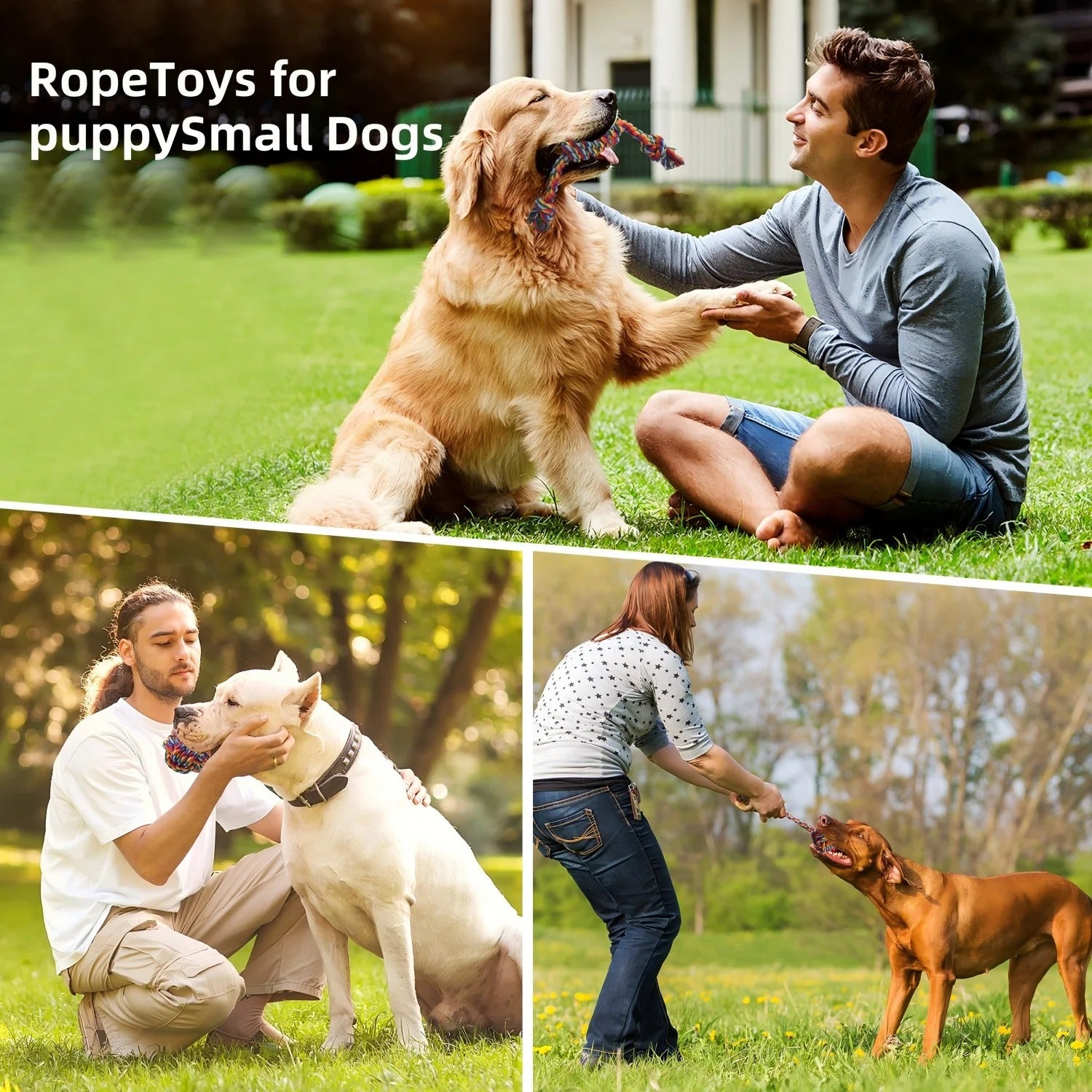 Assorted 4PCS Puppy Rope Chew Toys for Small Dogs Durable Teething and Interactive Playing Knotted Dog Toys