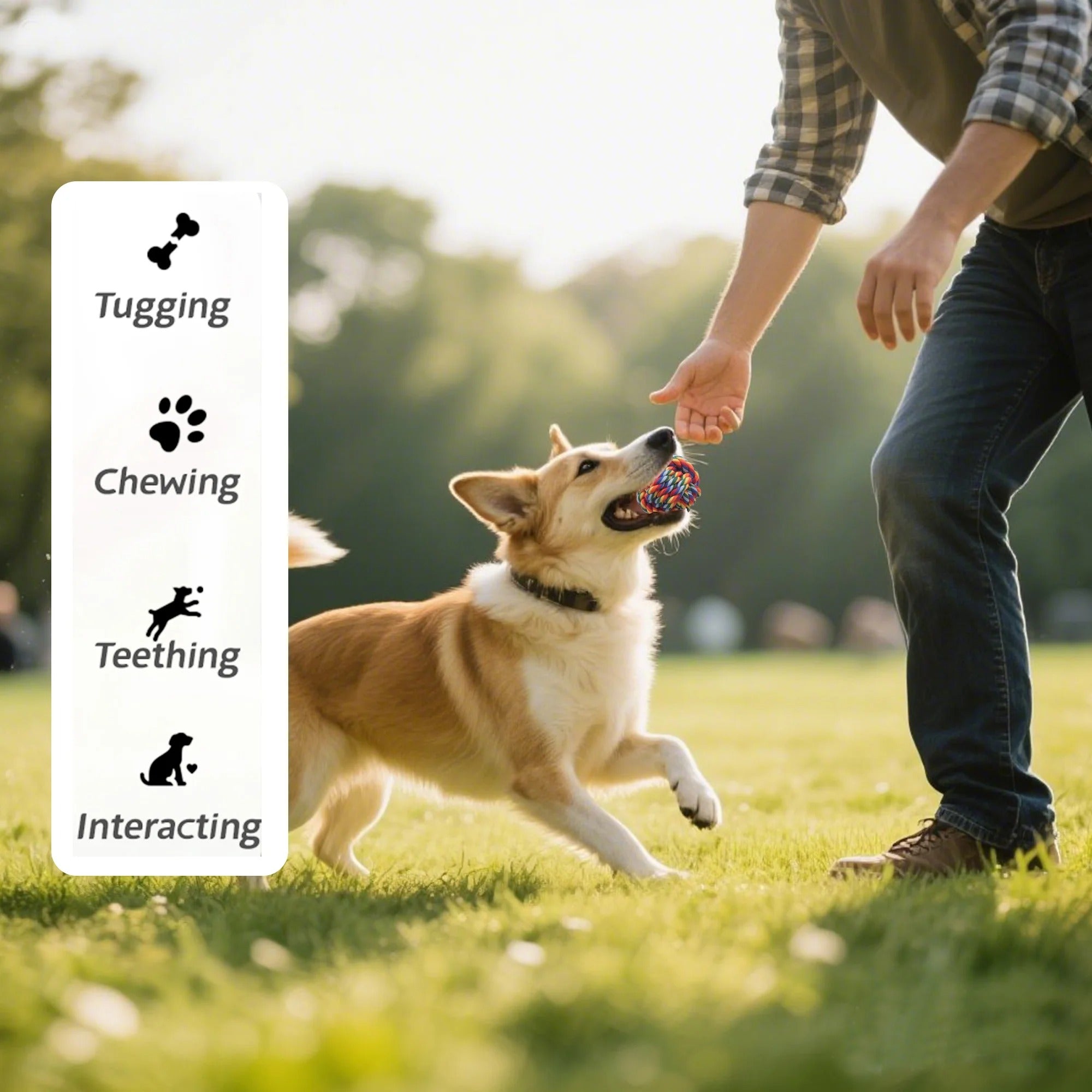 Assorted 4PCS Puppy Rope Chew Toys for Small Dogs Durable Teething and Interactive Playing Knotted Dog Toys