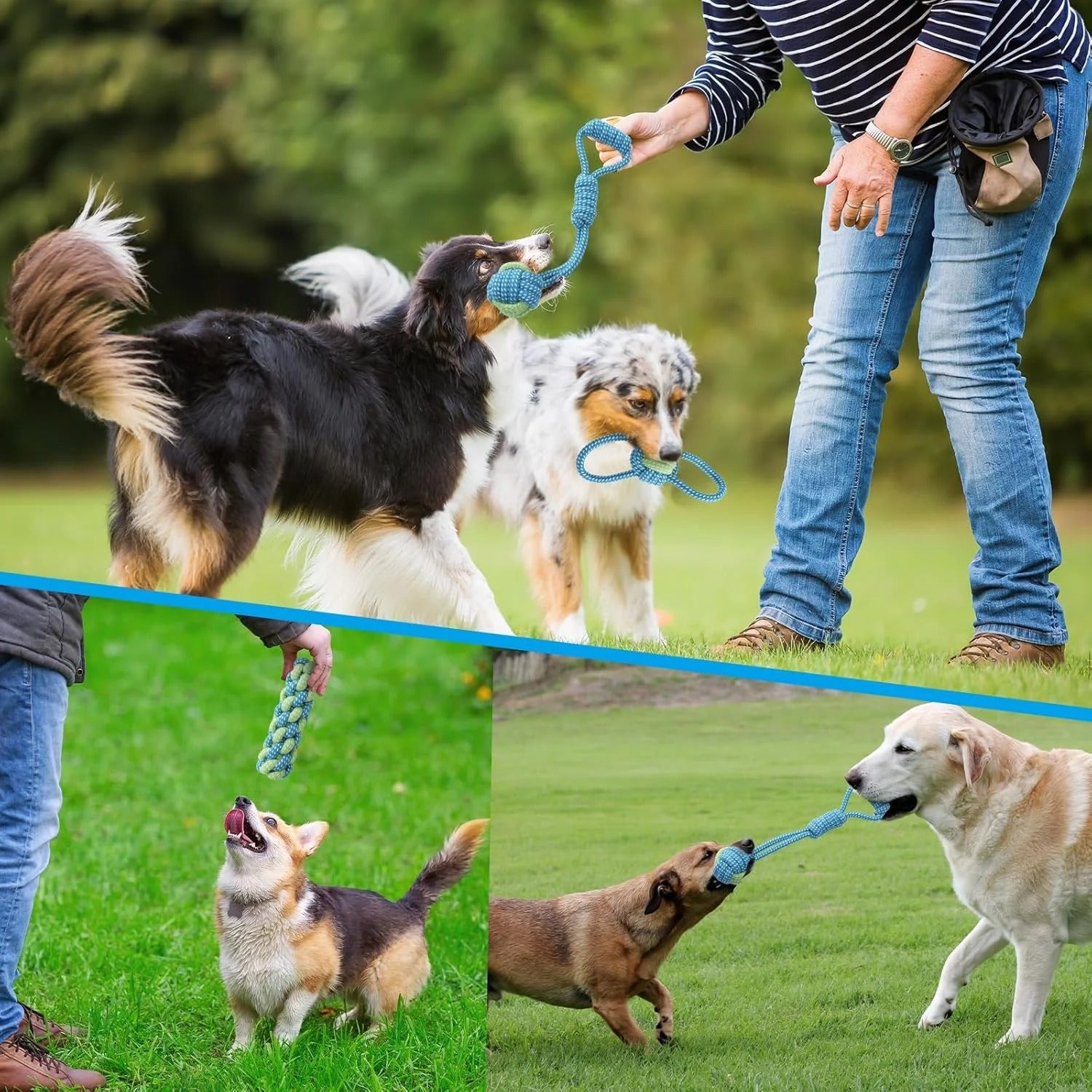 7 Pack Puppy Rope Toys for Small Dogs Durable Cotton Chew and Tug Toys Interactive Teething Rope for Teeth Cleaning and Mental Stimulation