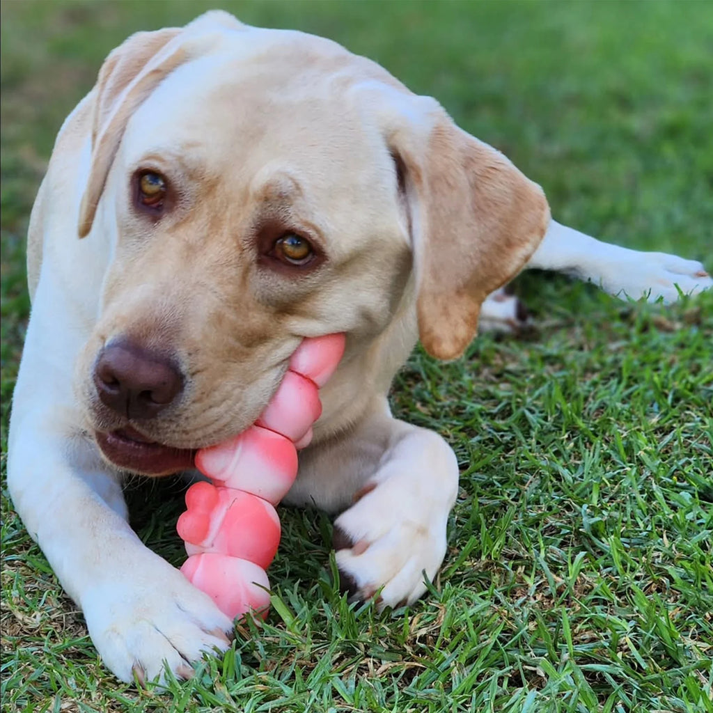 Flesh Red Caterpillar-Shaped Dog Chew Toy for Aggressive Chewers, Long-Lasting Durable Chew Toy for Large and Medium Dogs, Indestructible Tough Dog Toy