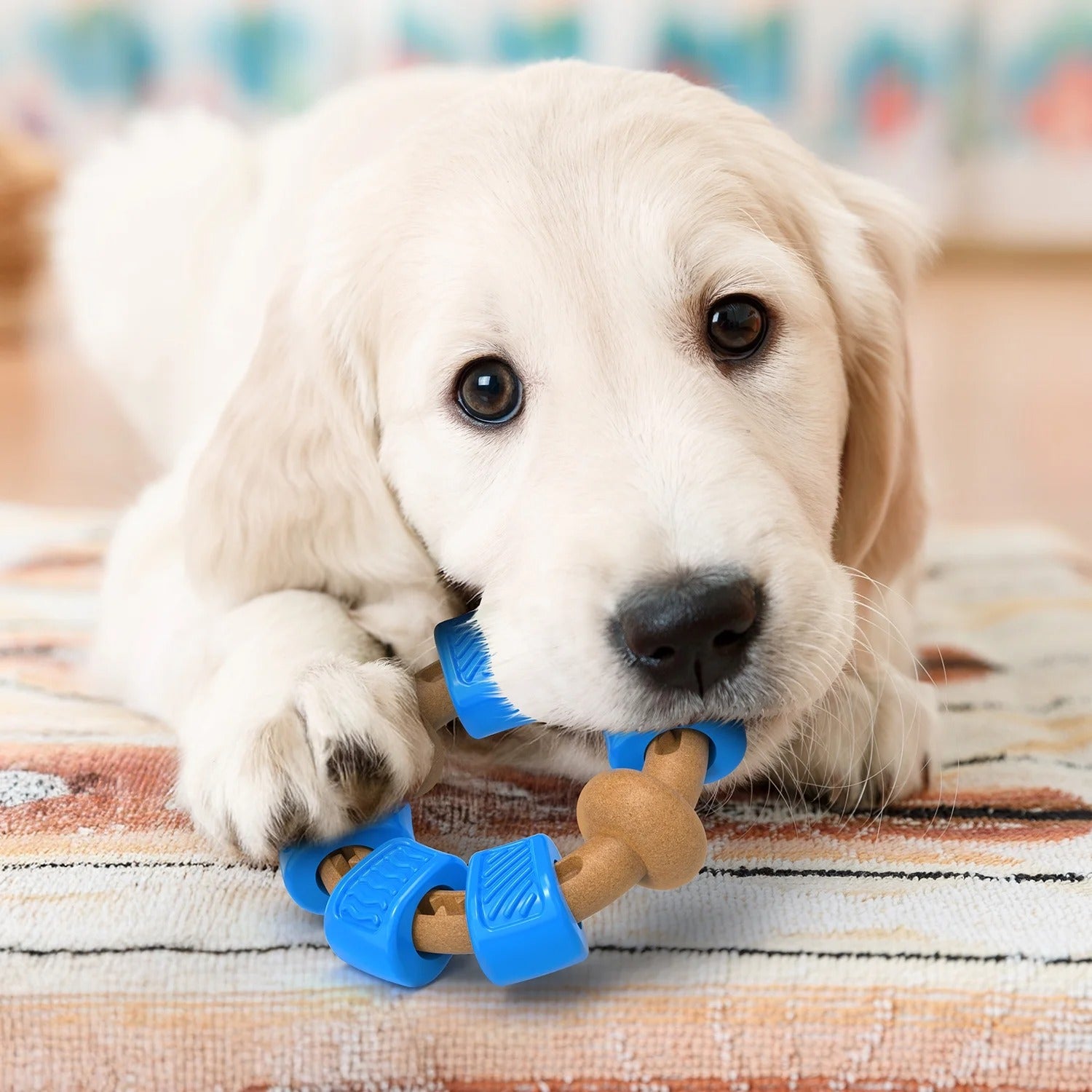 Blue Ring-Shaped Dog Chew Toy for Aggressive Chewers, Durable Interactive Dog Chew Toy for Medium and Large Breeds, Stress-Relief Chewing Toy