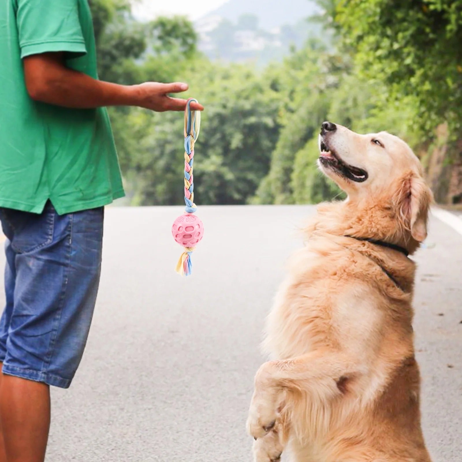 6 Pcs Small Dog Chew Toys Set, Colorful Rope and Rubber Puppy Teething Toys, Interactive Teeth Cleaning and Safe Play Toys for Puppies