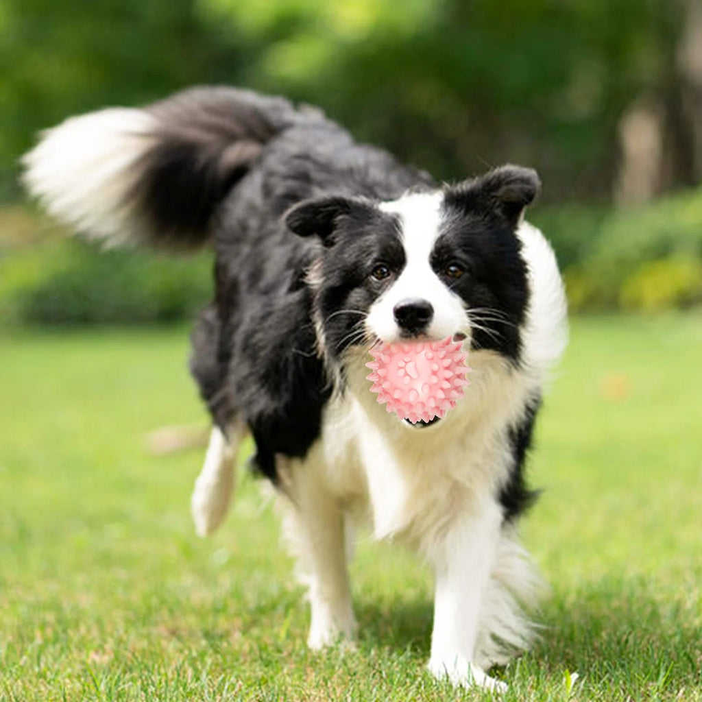 6 Pcs Small Dog Chew Toys Set, Colorful Rope and Rubber Puppy Teething Toys, Interactive Teeth Cleaning and Safe Play Toys for Puppies