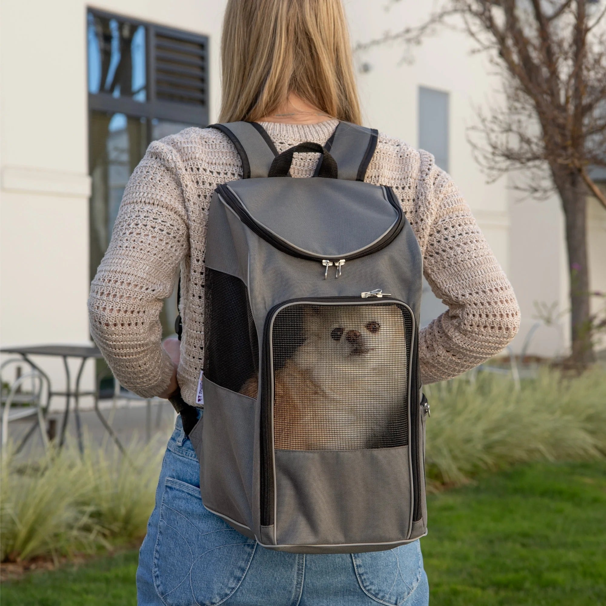 Gray Medium Cat & Dog Travel Backpack Carrier, Soft-Sided Pet Carrier for Small Dogs and Cats, Up to 16 lb, Breathable Mesh and Comfortable Padding