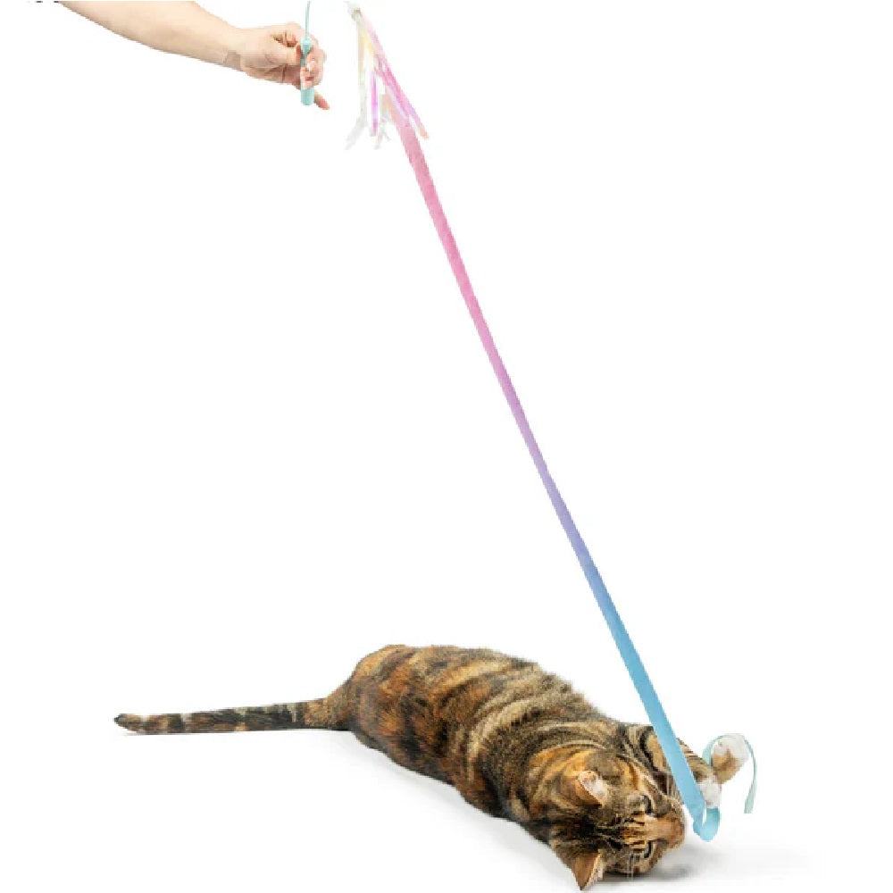 Dance & Lure Aqua Cat Teaser