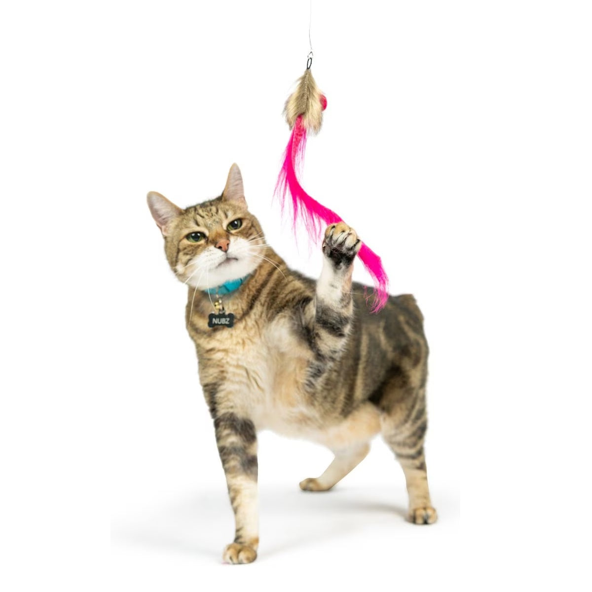 Pink Mouse Tails Cat Teaser Replacement