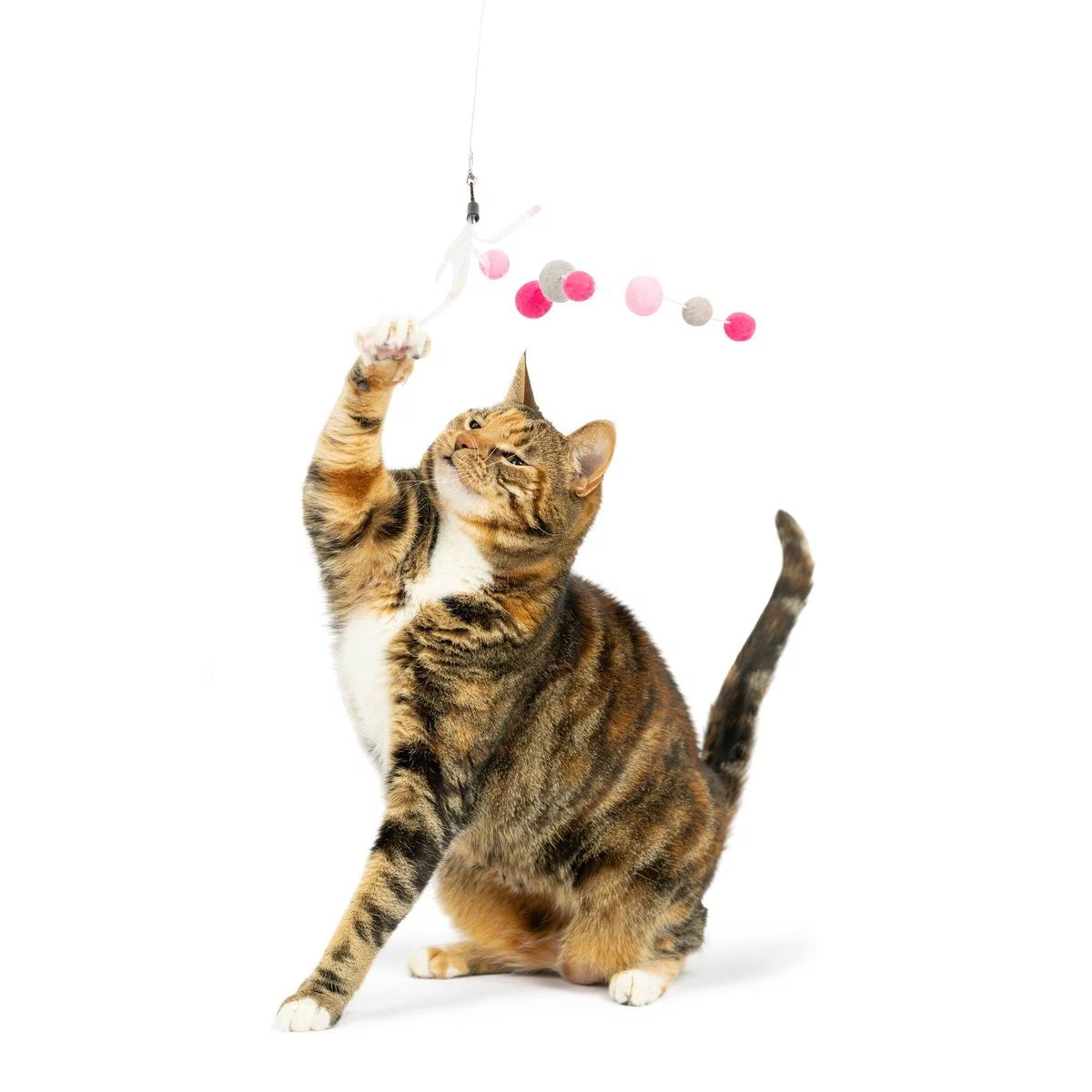 Pink Mouse Tails Cat Teaser Replacement