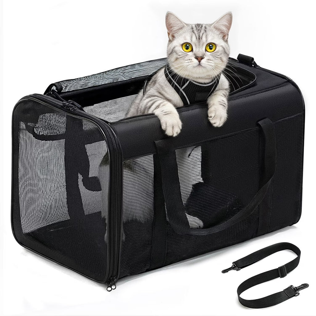 Black Airline Approved Soft-Sided Cat Carrier with 4-Sided Mesh, Collapsible Pet Travel Carrier for Cats and Small Dogs
