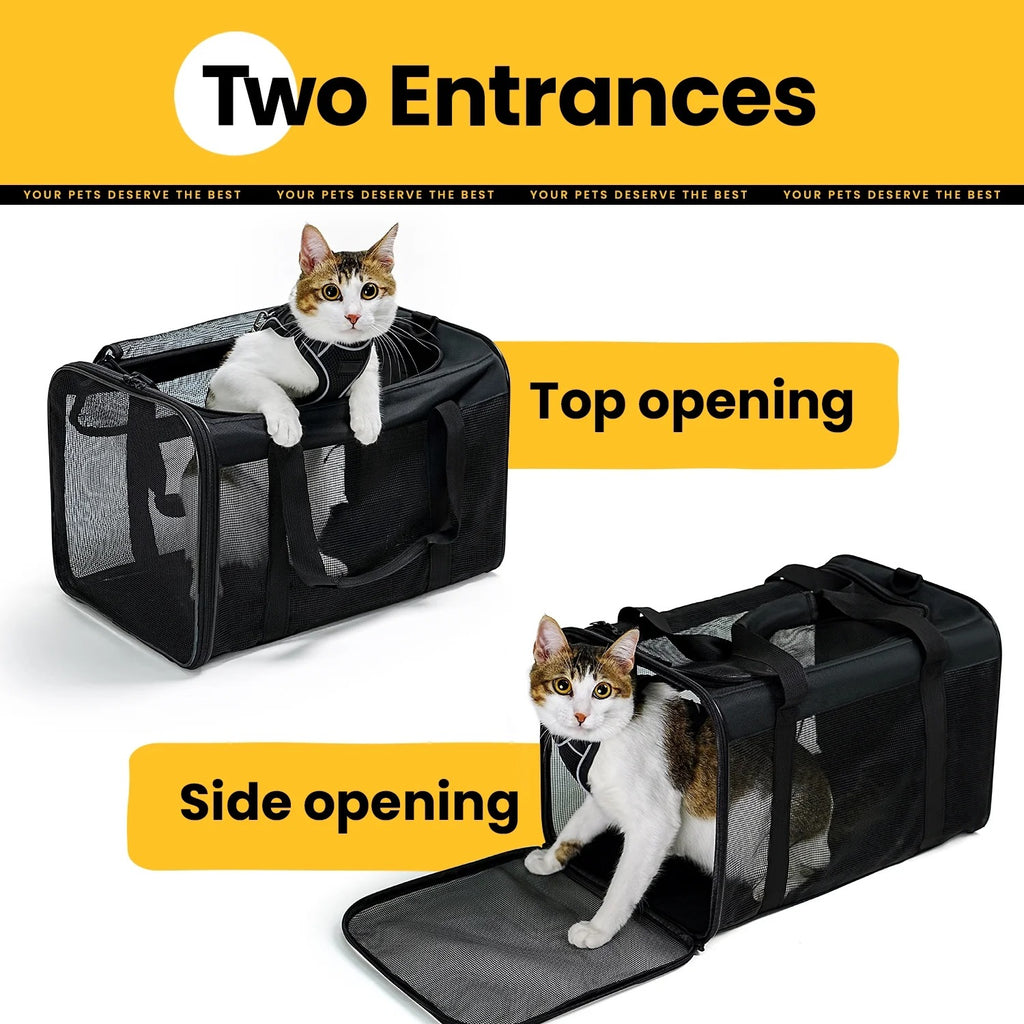 Black Airline Approved Soft-Sided Cat Carrier with 4-Sided Mesh, Collapsible Pet Travel Carrier for Cats and Small Dogs