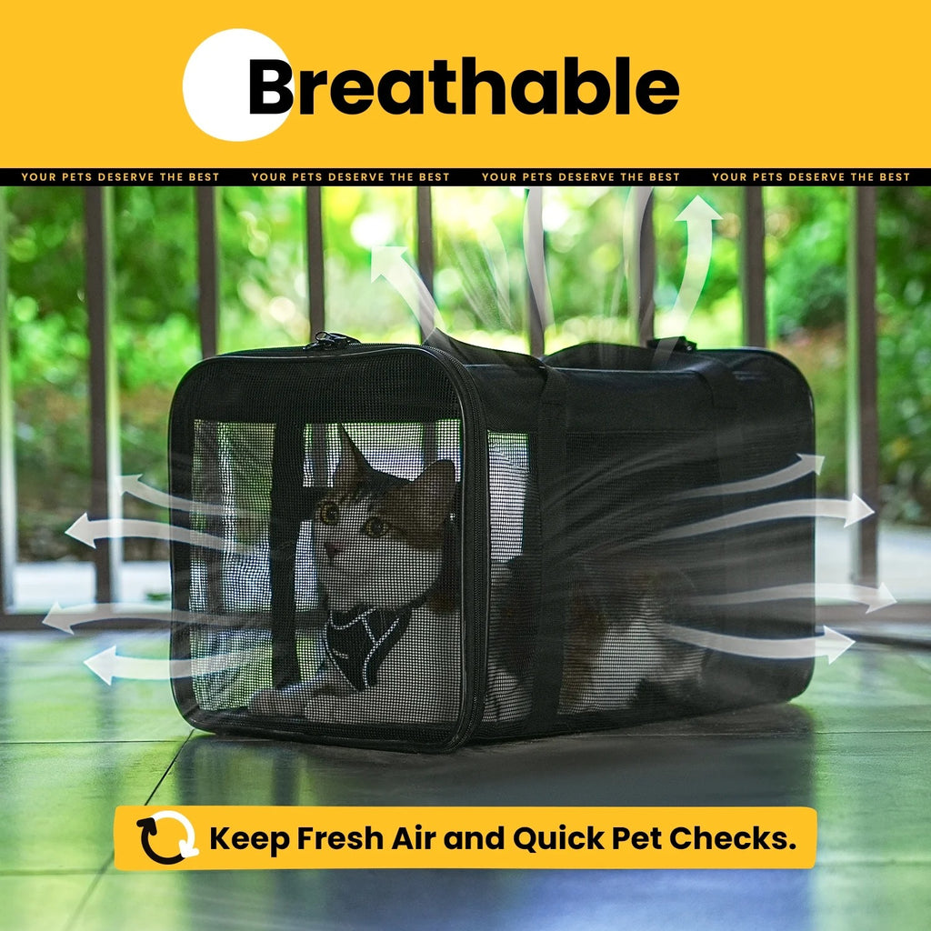 Black Airline Approved Soft-Sided Cat Carrier with 4-Sided Mesh, Collapsible Pet Travel Carrier for Cats and Small Dogs