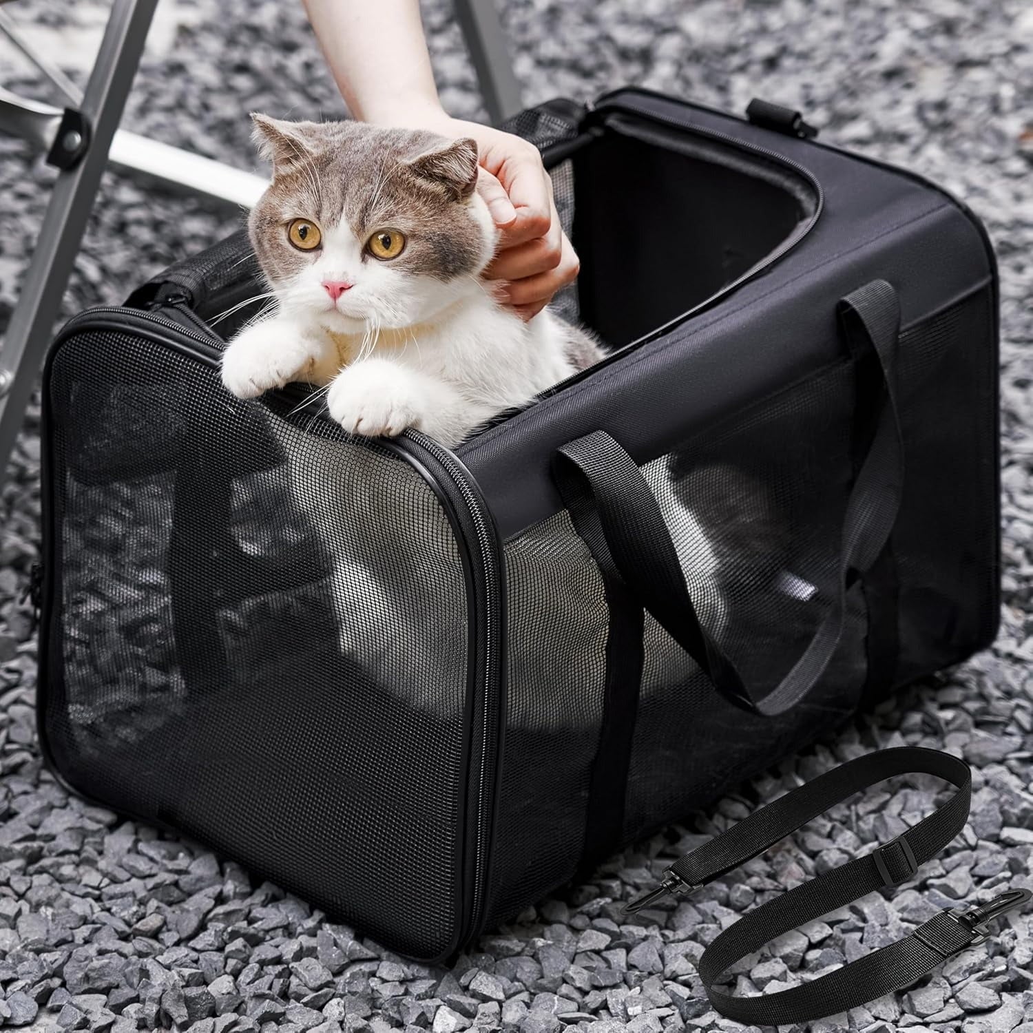 Black Airline Approved Soft-Sided Cat Carrier with 4-Sided Mesh, Collapsible Pet Travel Carrier for Cats and Small Dogs