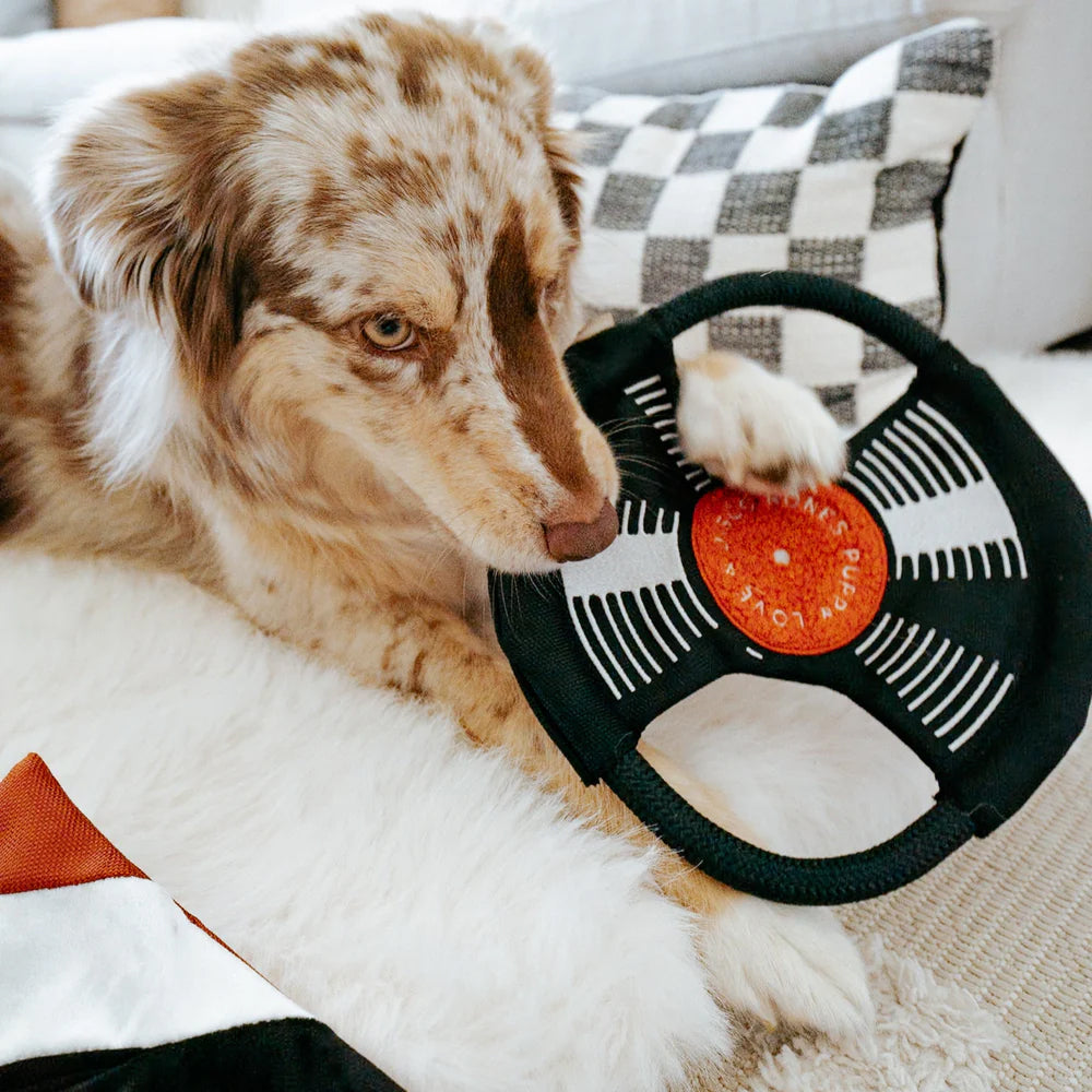 Bark To The Beat Snuffle & Squeaky Dog Toy