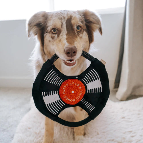 Bark To The Beat Snuffle & Squeaky Dog Toy