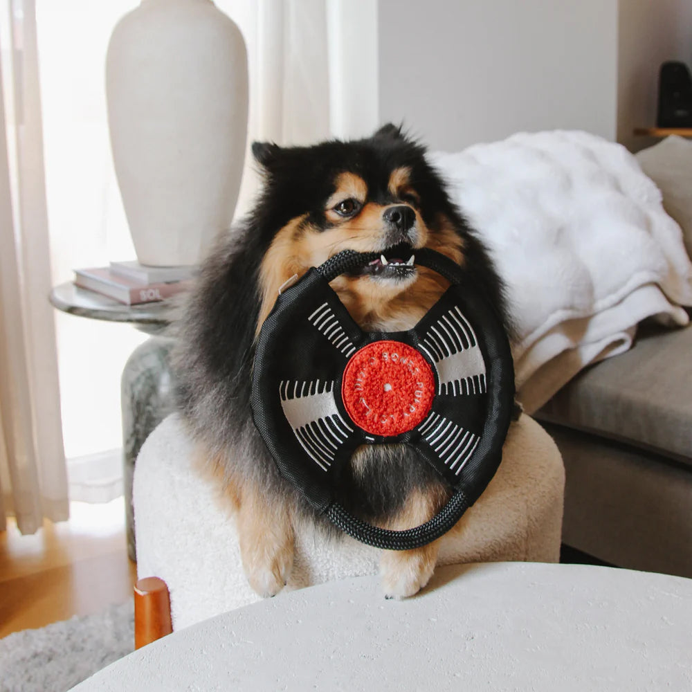 Bark To The Beat Snuffle & Squeaky Dog Toy