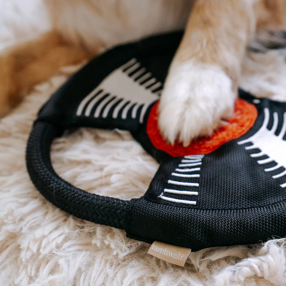 Bark To The Beat Snuffle & Squeaky Dog Toy