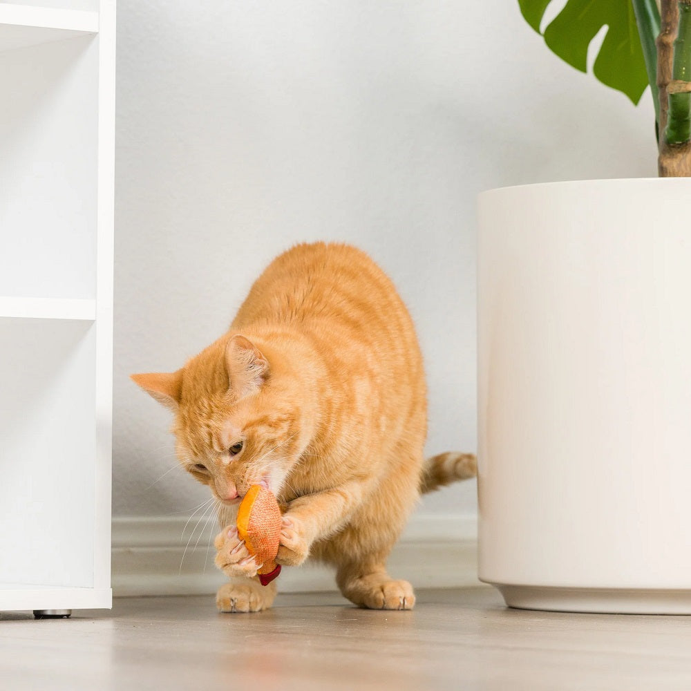 Hairball Whisky Cat toy