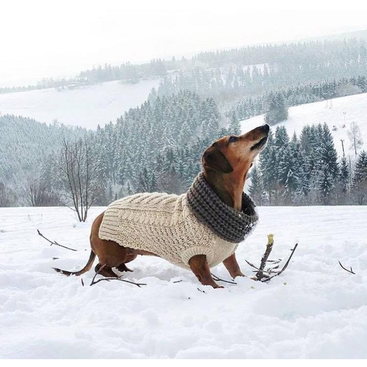 Dog Infinity Scarf - Charcoal