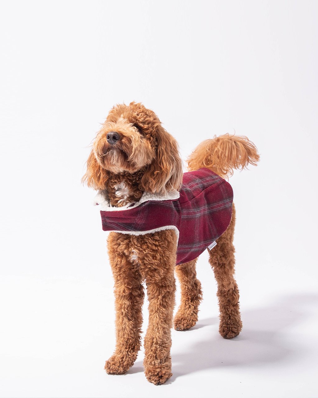 Modern Classic Coat - Merlot Plaid