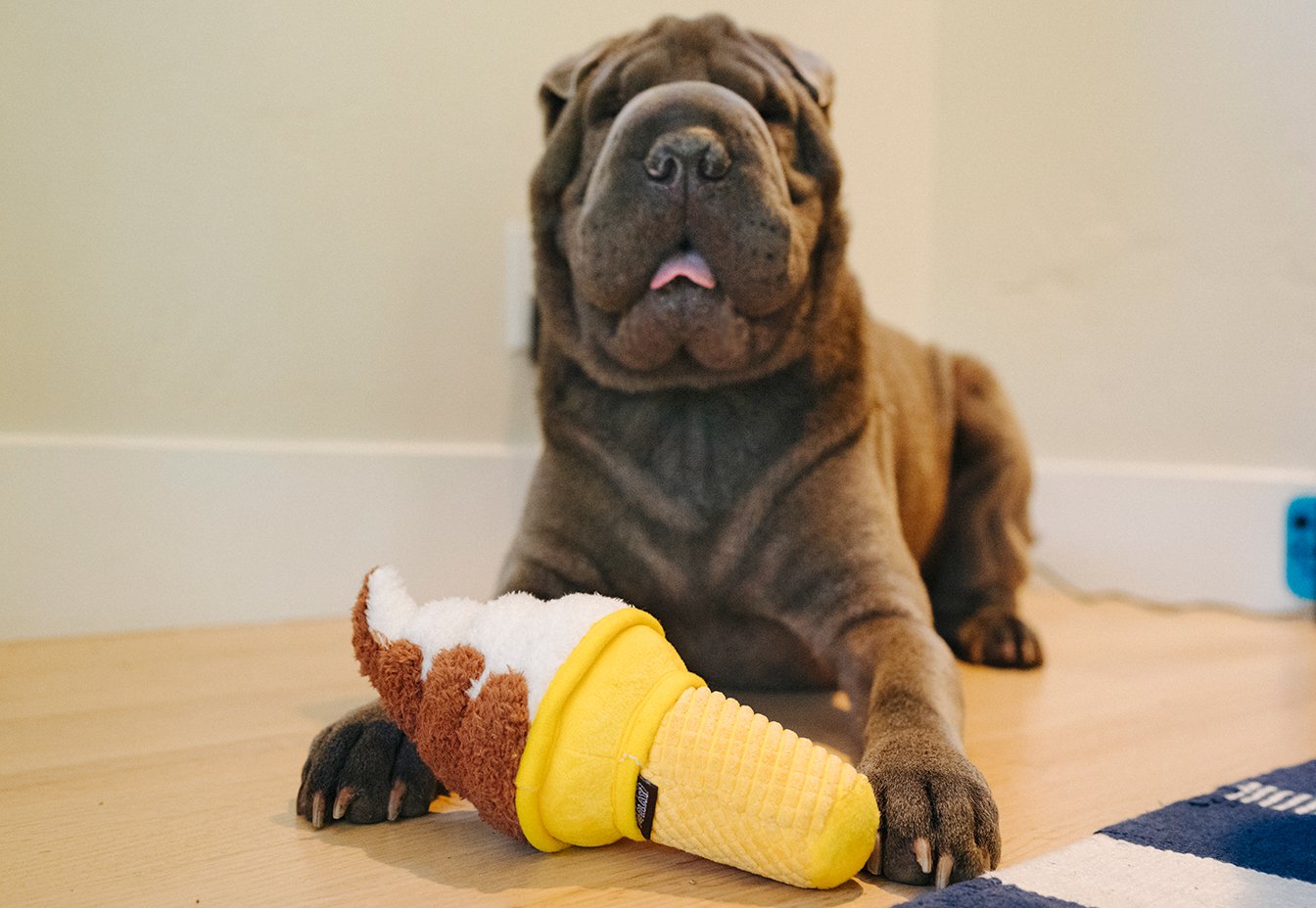 Swirls n Slobbers Soft Serve - Dog Toy